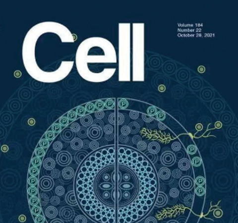 祝賀王二濤老師團(tuán)隊又一佳作榮登Cell期刊！