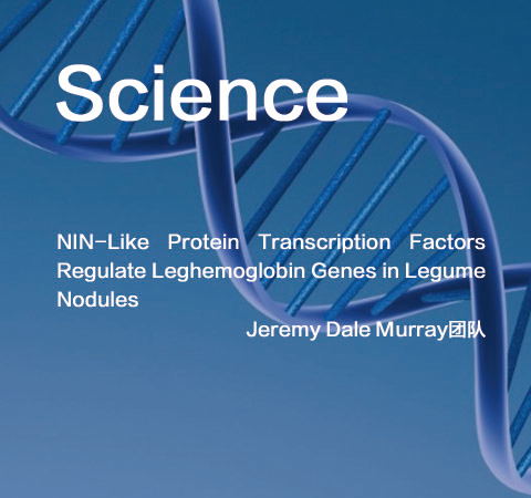 祝賀Jeremy Dale Murray團(tuán)隊佳作榮登Science期刊！